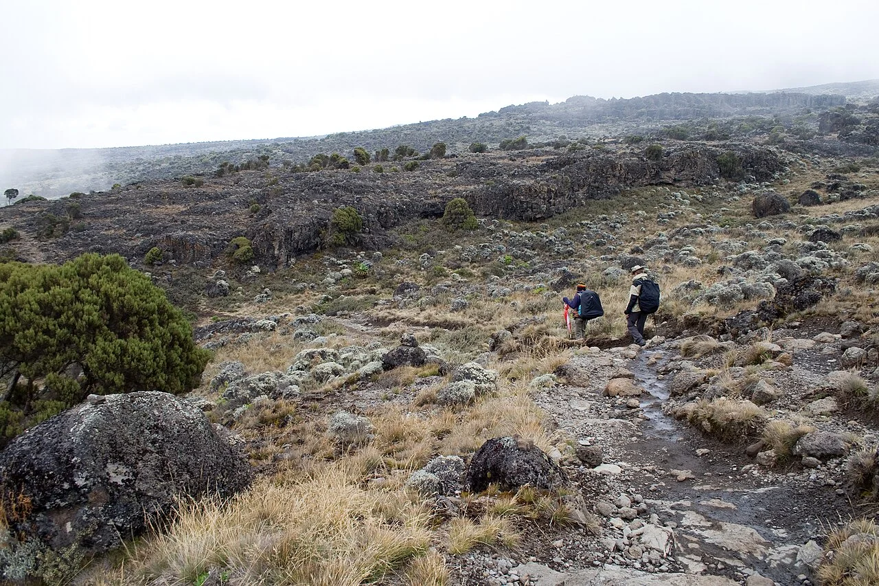 High landscape on Kilimanjaro Shira Plateau, November 2007
