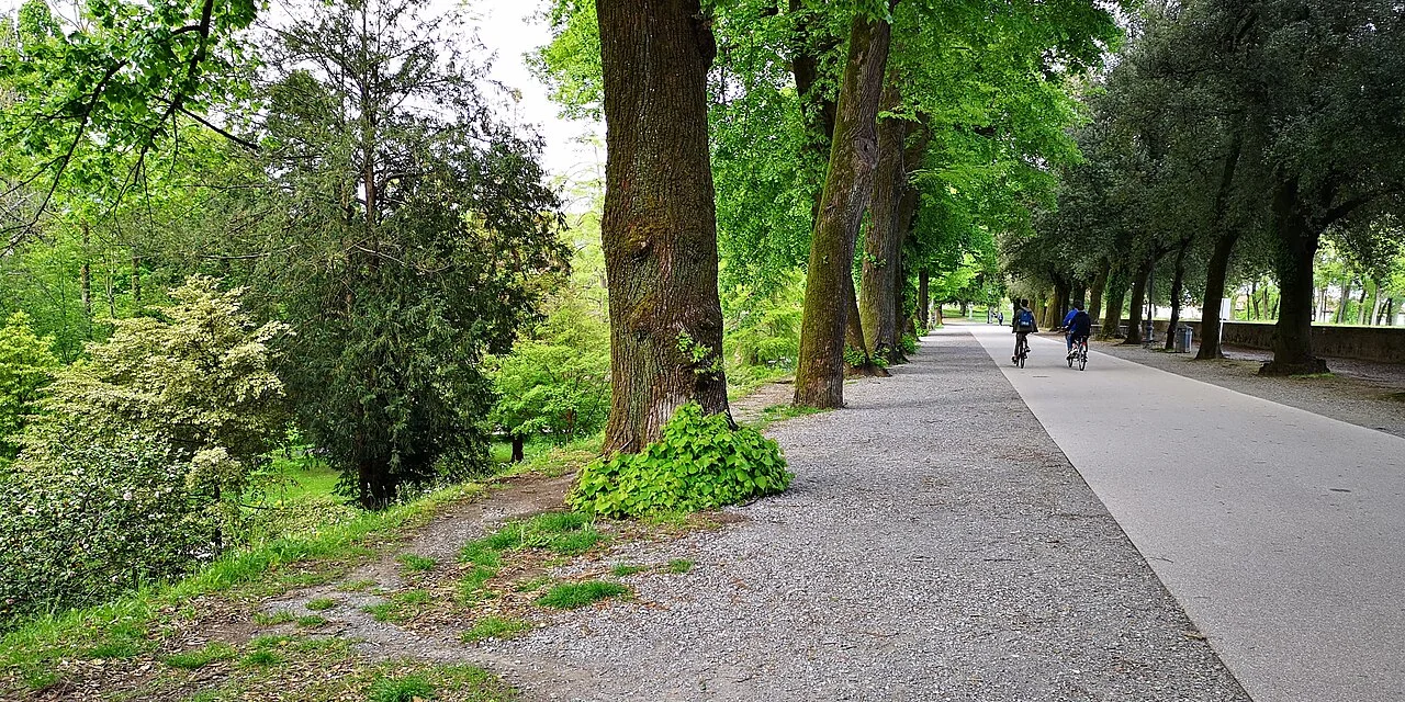 Lucca sur üstünde ağaçlı yürüyüş bölümü; Fedispili, 2019-04-30.