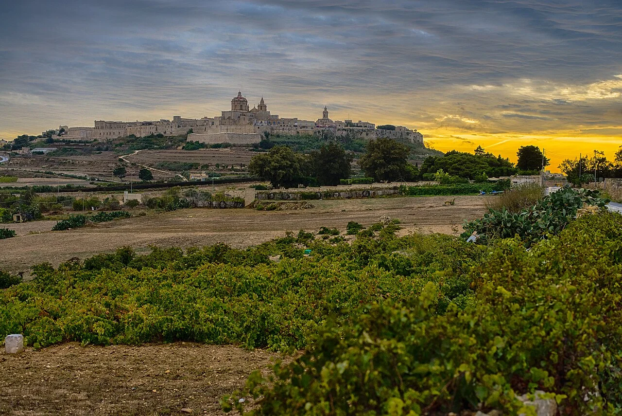 Distant skyline of the historic city of Mdina; Jonathan borg, 2013-07-12.