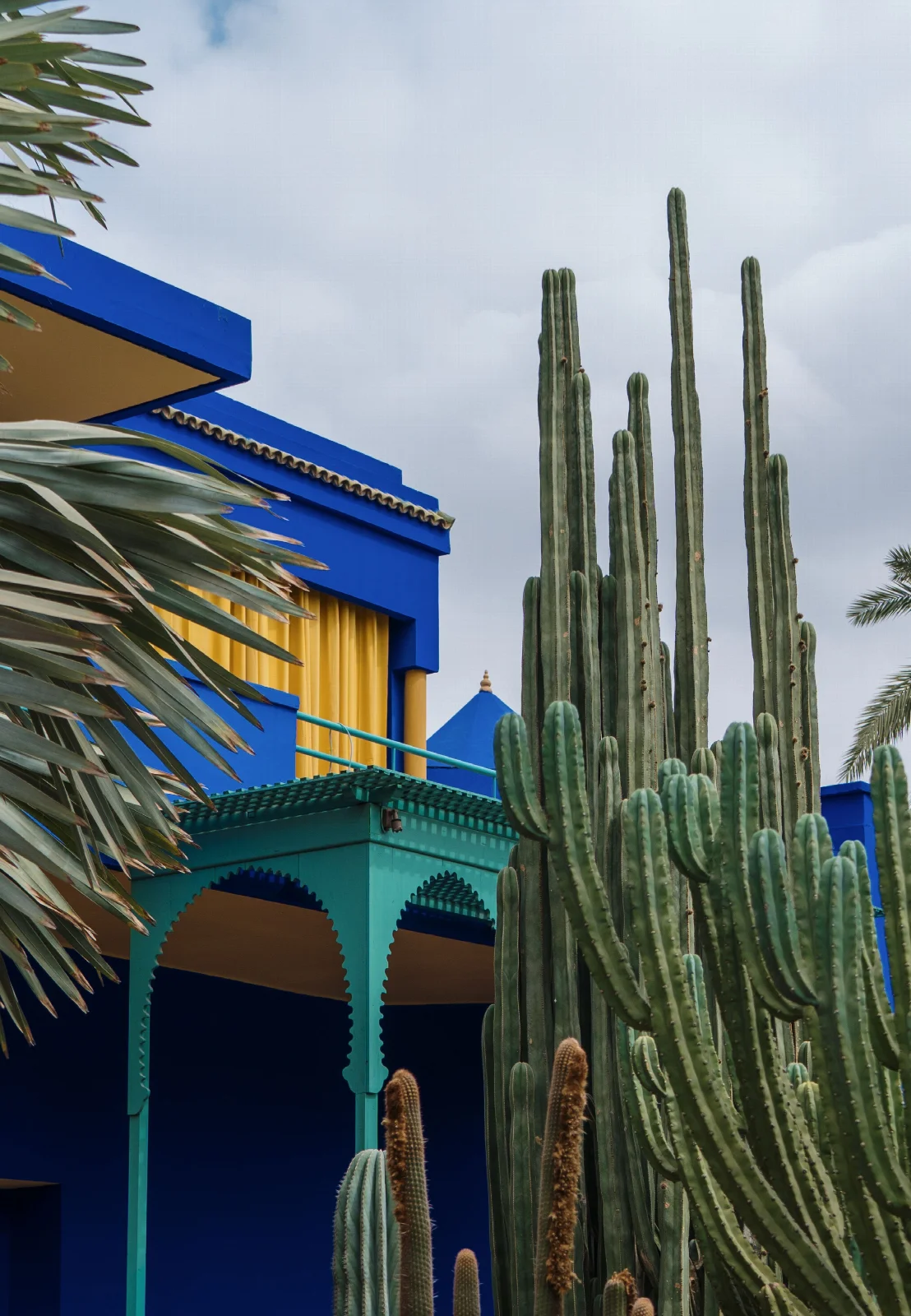 Jardin Majorelle’de kobalt mavisi yapı, sarı pencere ayrıntıları ve uzun kaktüsler