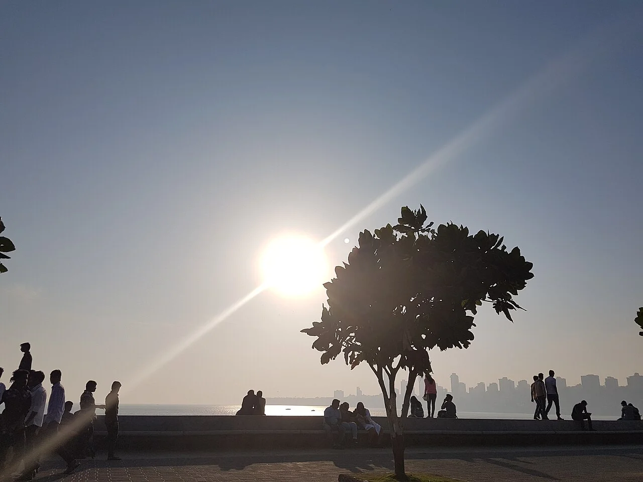 Marine Drive Mumbai kıyısında ağaç ve güneş; Simeyrajesh, 12 Şubat 2017. Yemek veya kahve işletmesi gösterilmez.