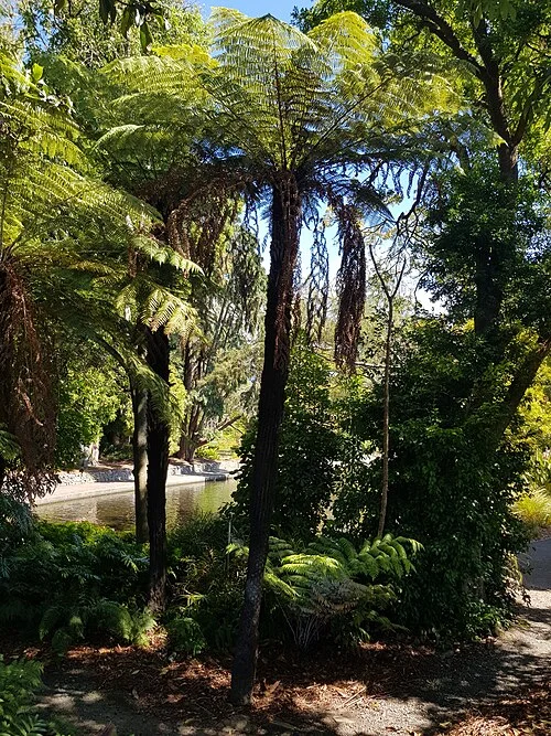 Nelson Queens Gardens from Bridge Street, January 2019