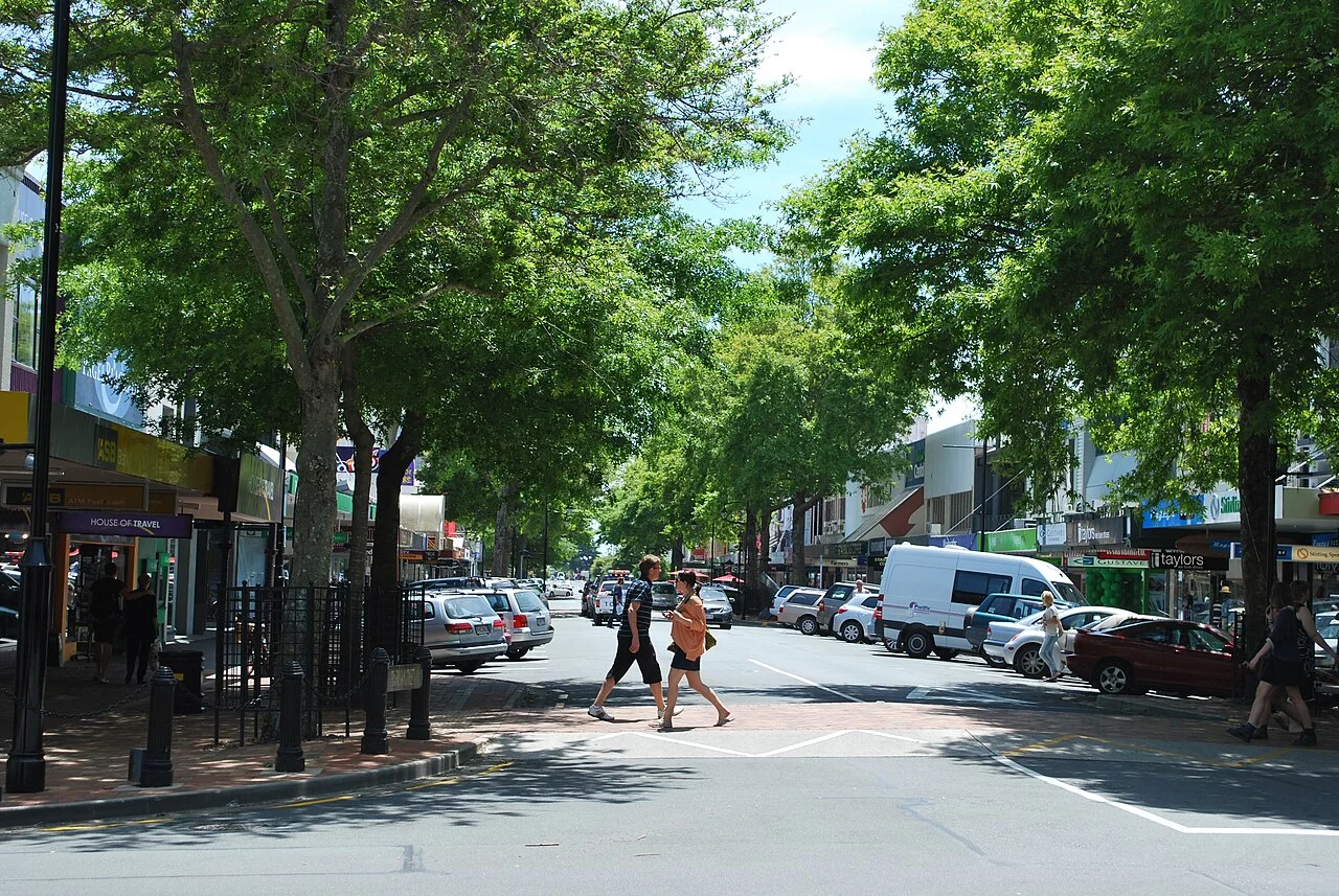 Trafalgar Street in Nelson, November 2011; not a current business directory