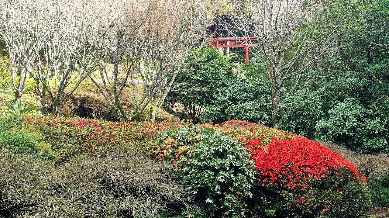 Japanese Hillside planting in Pukekura Park, New Plymouth, August2026
