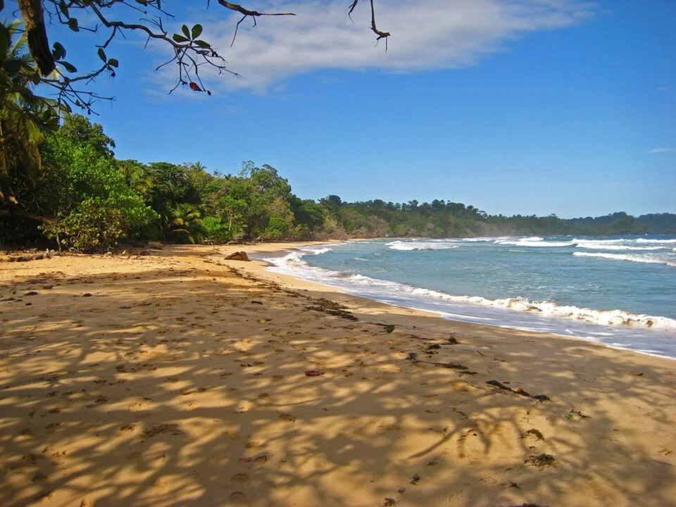 Bocas del Toro Red Frog Beach kıyısı, 2009