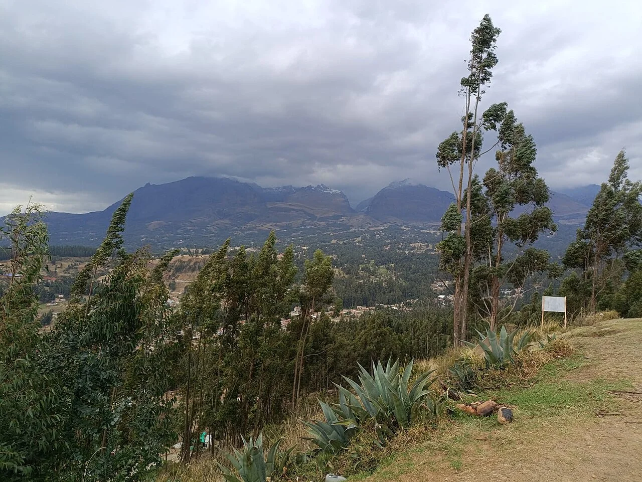 La Soledad seyir yönünde ön plandaki ağaçlar ve uzakta Huaraz ile dağ görünümü, Kasım 2024