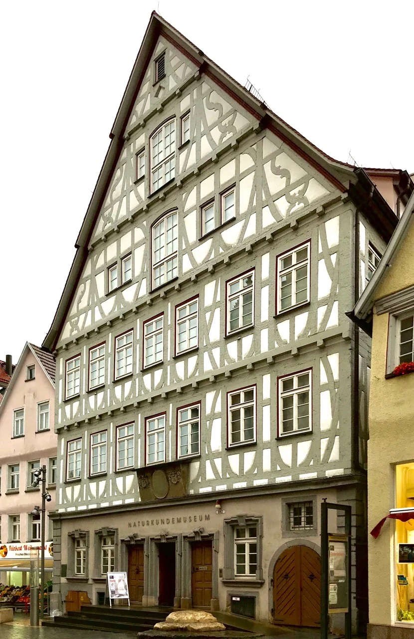 Reutlingen Naturkundemuseum’un ahşap çatkılı dış cephesi, 2020