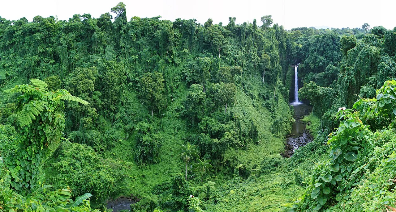 Upolu Sopo’aga şelalesi vadisi, 2007