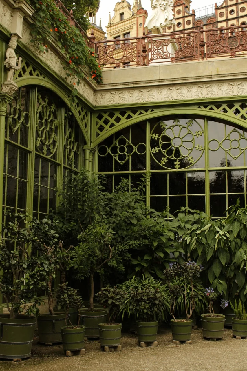 Schwerin Sarayı Orangerie bölümünde bitkiler ve yeşil çerçeveler