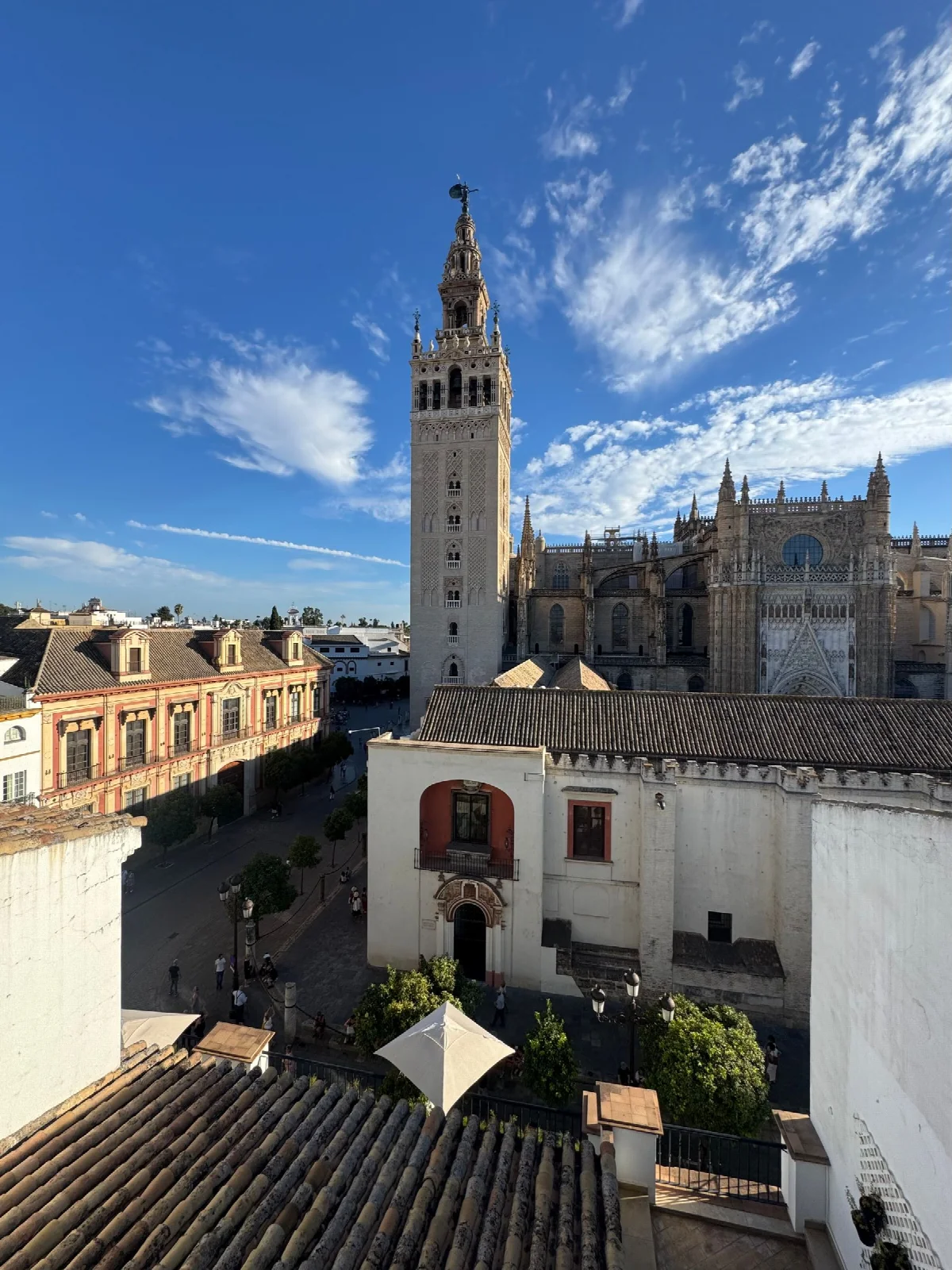 The exterior of Seville Cathedral and the Giralda tower under a blue sky