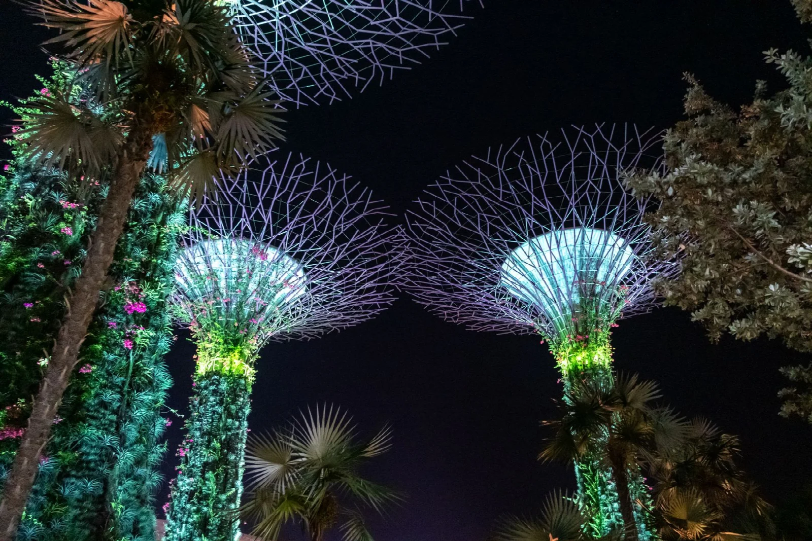 Singapur Gardens by the Bay’de gece aydınlanan Supertree yapıları