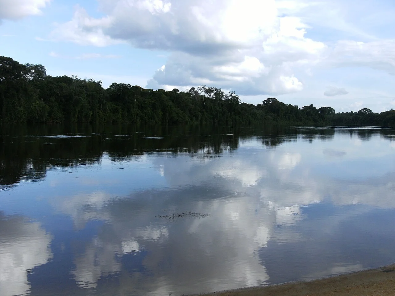 Suriname River at Berg en Dal, 2008