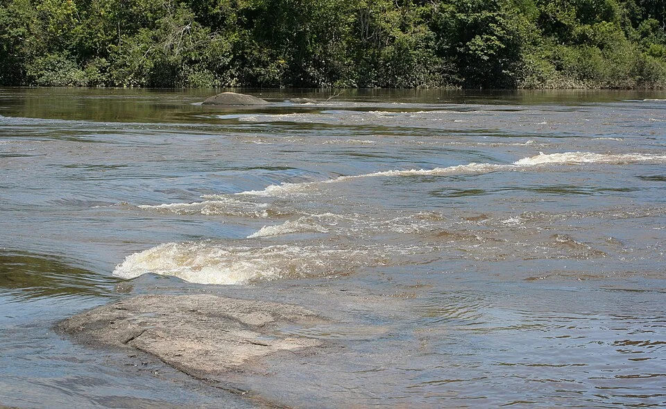 Coppename River near Fungu Island, Suriname; rapids concealed by high water, 2008