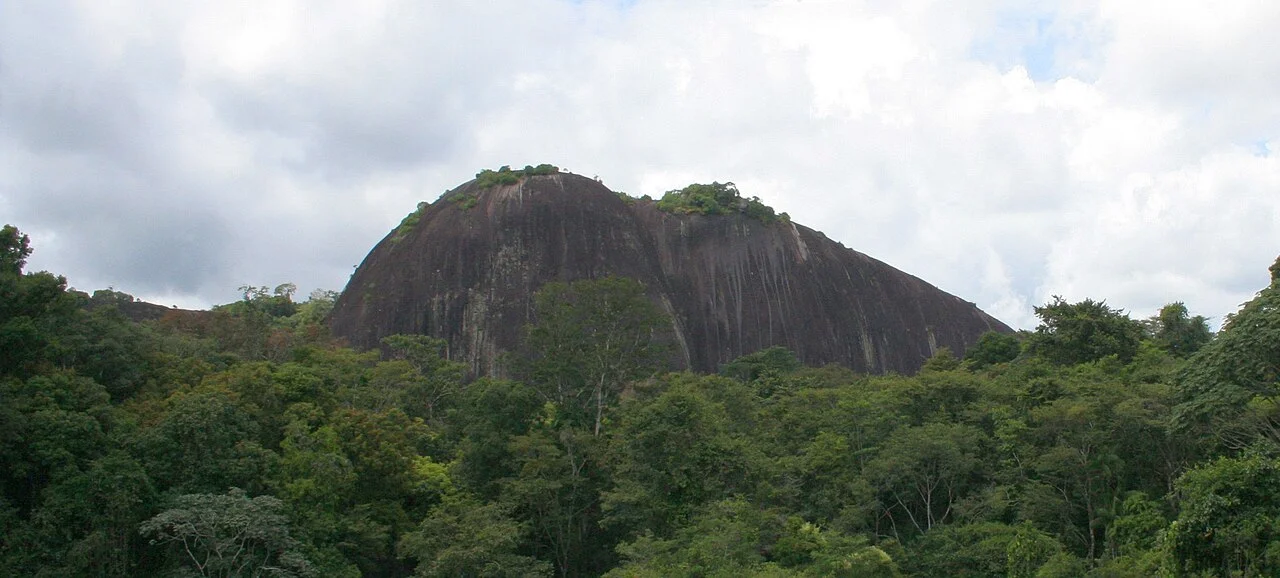 Voltzberg in the background viewed from a rocky plateau, Suriname, 2008