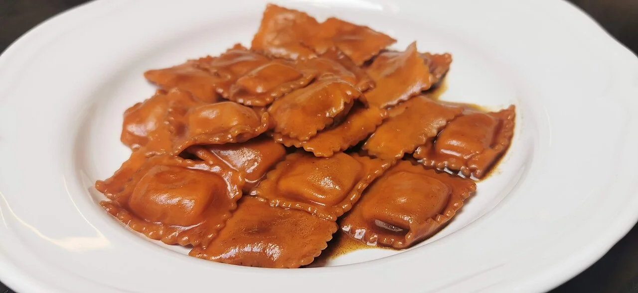 Agnolotti with roast sauce food illustration, March 2024; shooting city unspecified