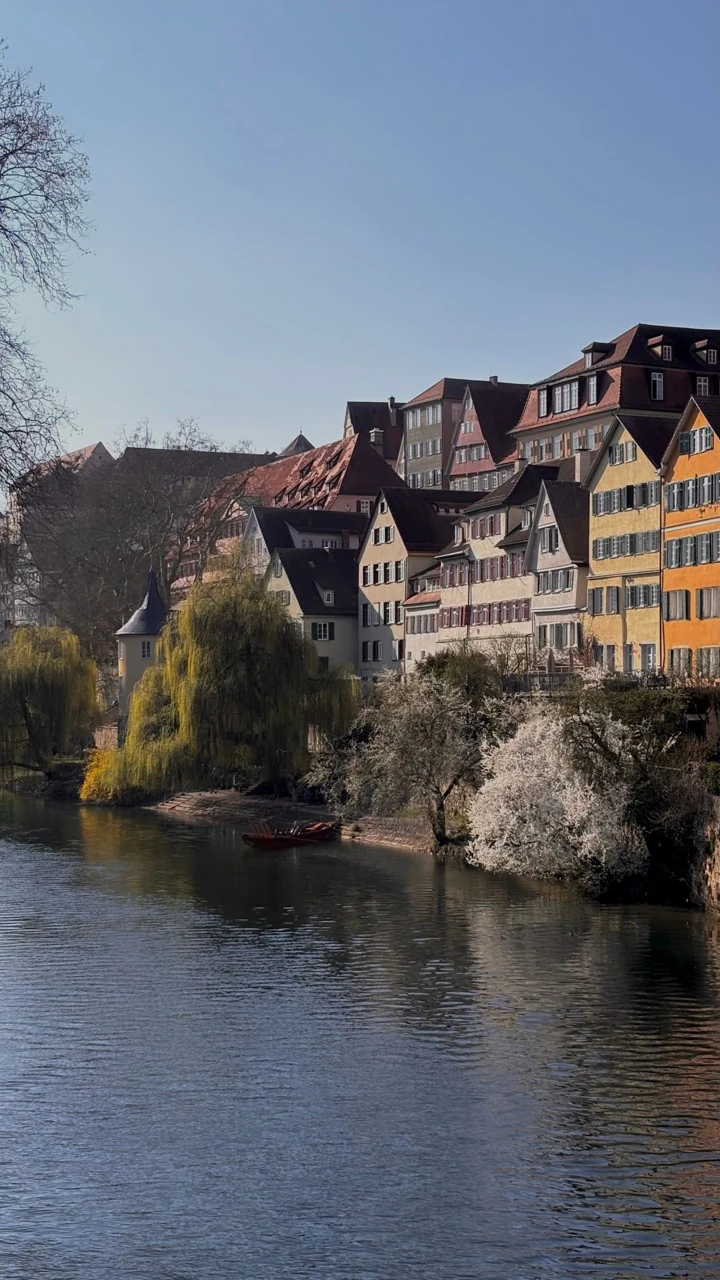Tübingen Neckarfront boyunca renkli evler ve bahar çiçekleri