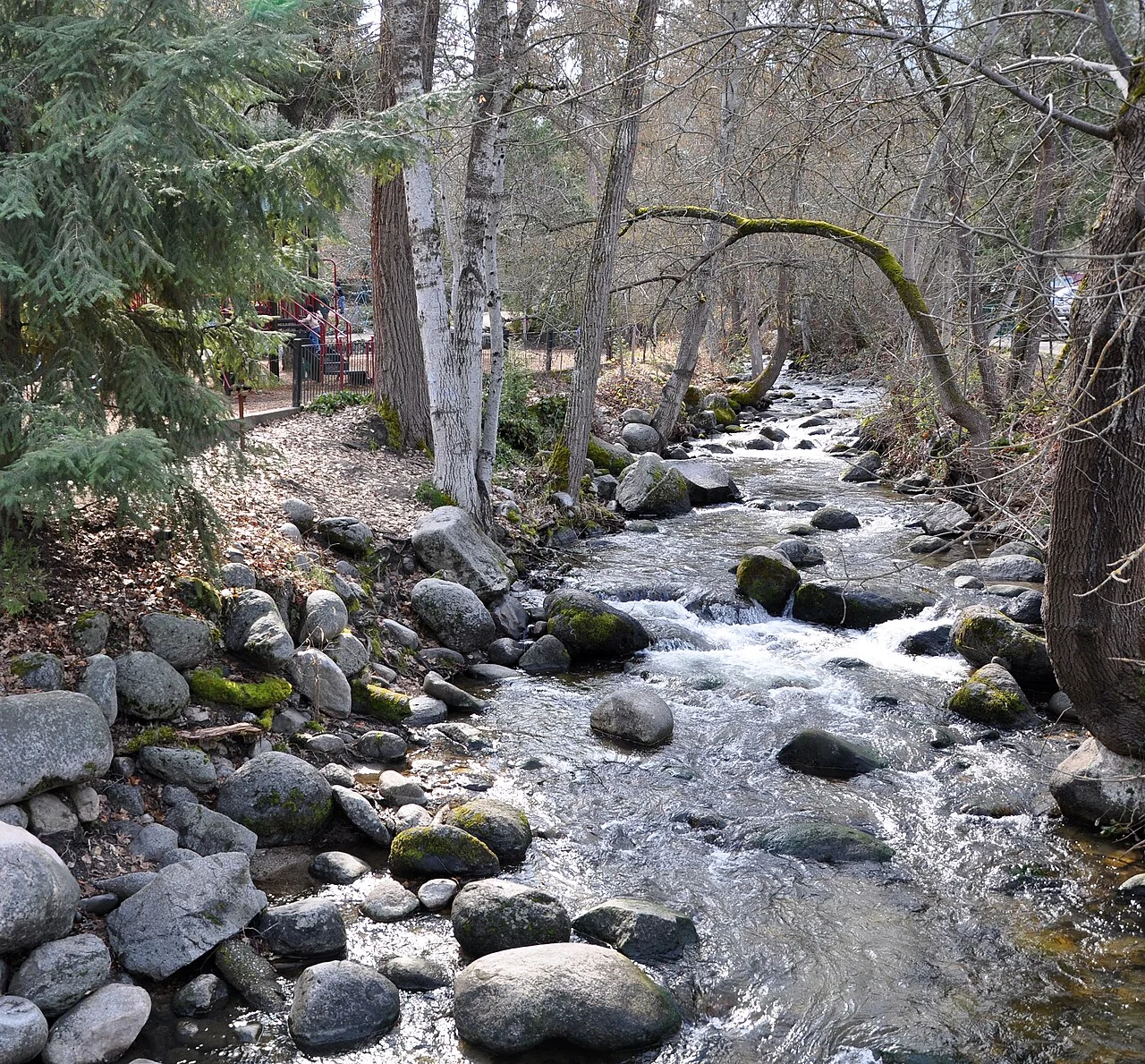 Ashland Creek flowing through Lithia Park, February 2013; not today's water level or swimming permission