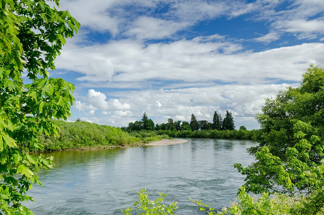 Willamette Park'tan nehir görünümü, Haziran 2012; merkezdeki Riverfront Commemorative Park değildir