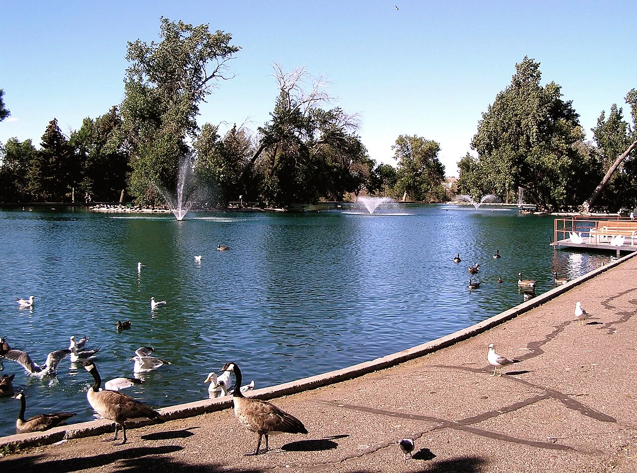 Gibson Park pond and waterfowl, July 2012; not birds or weather on the day of your visit
