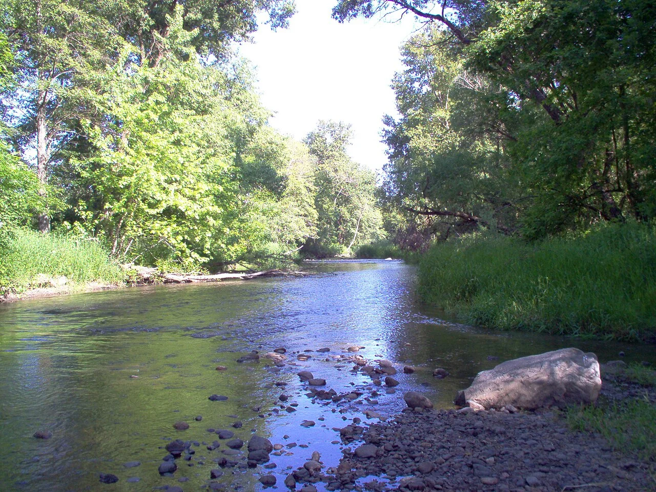 Medford'da Bear Creek, Greenway ile Alba Drive köprüsü yakını, Nisan 2003; Alba Park değildir, güncel patika durumu göstermez