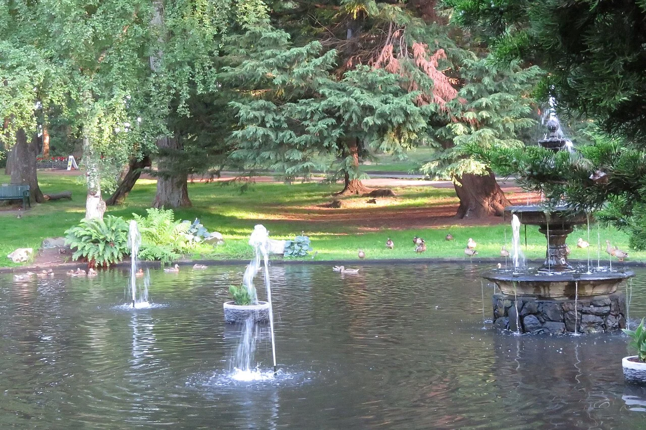 Pond, water birds and green banks at Victoria Beacon Hill Park, 2020