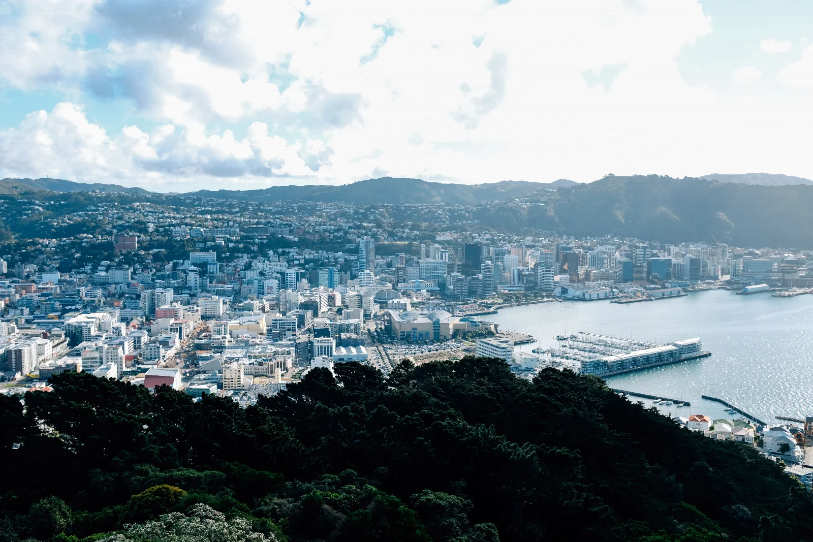 Central Wellington, its harbour and waterfront buildings seen beyond green hillsides