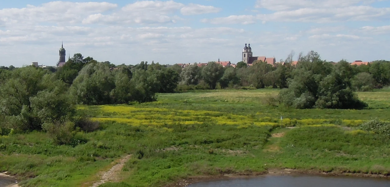 Elbe köprüsü yönünden Wittenberg silueti, 2019 fotoğrafı