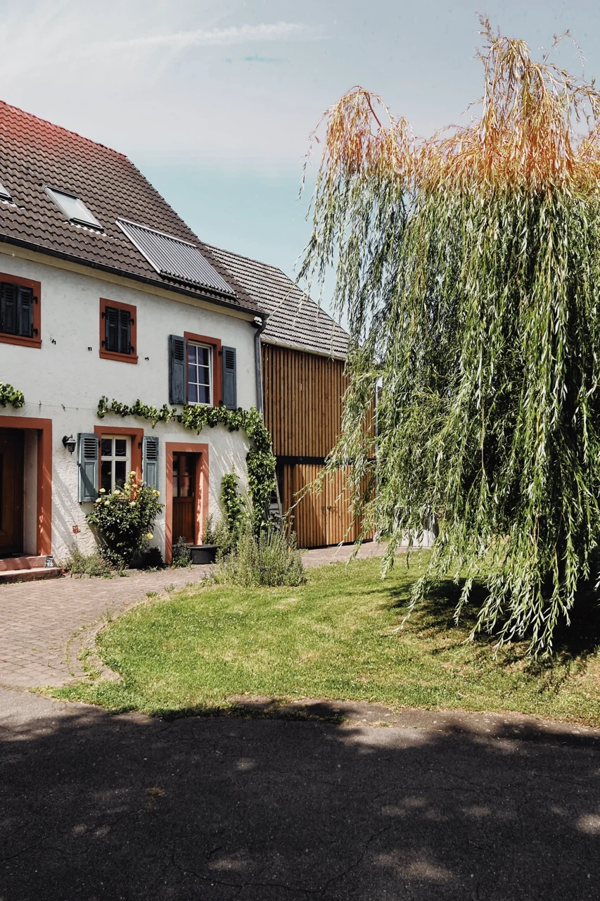 House and willow at Alftalstraße 35 in Wittlich-Dorf, 2025